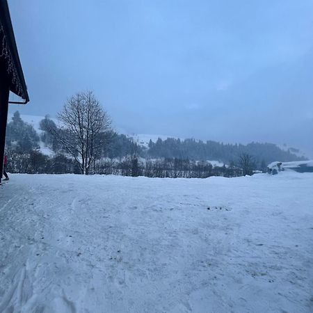 Ferienwohnung Карпатська Криївка Jassinja Exterior foto